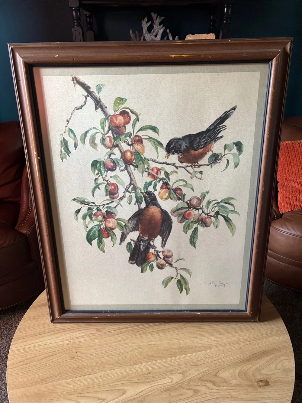 Framed Bird & Branch Wall Art - Brown and Green